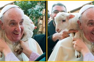 Pesan Paus Fransiskus di Hari Komunikasi Sedunia ke-51 Tahun 2017